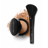 Nude Powder,S3 Brush SUN KISSED