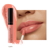 Sexy Lips Gloss FLIRTY - Romanovamakeup